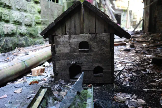 Bird house.